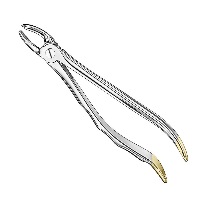 Extracting forceps, anat.