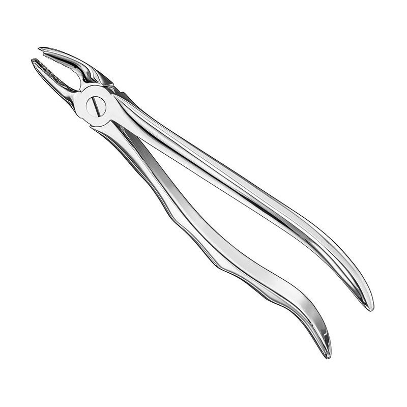 Extracting forceps, anat.