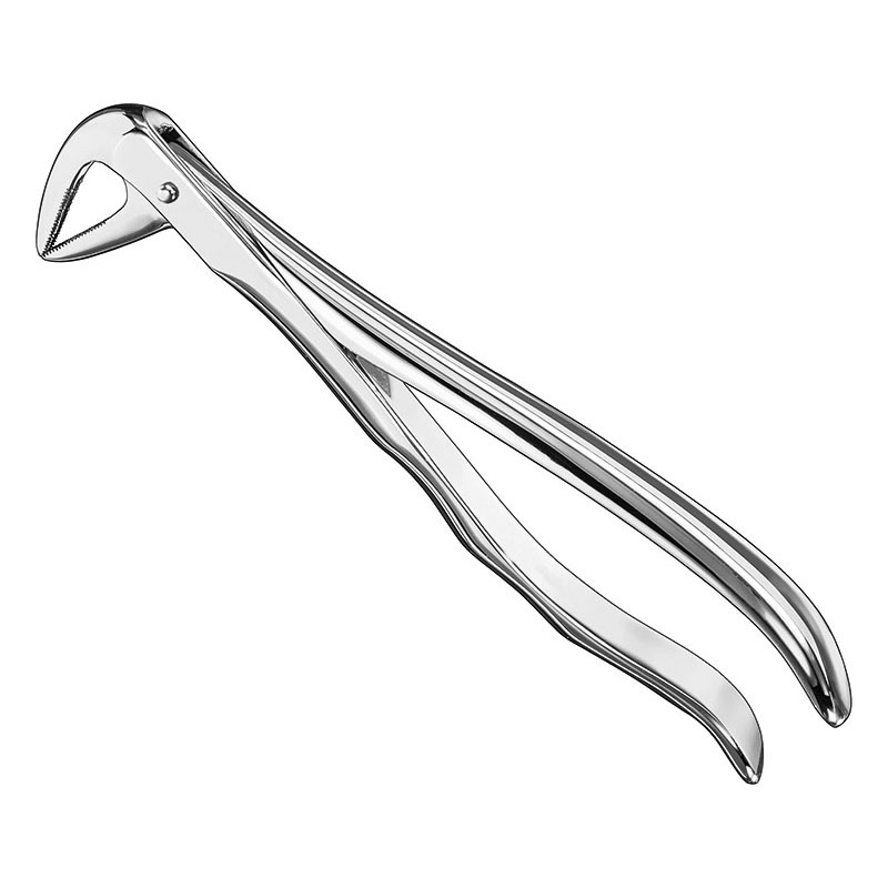 Extracting Forceps Anatomically Shaped Handle Standard