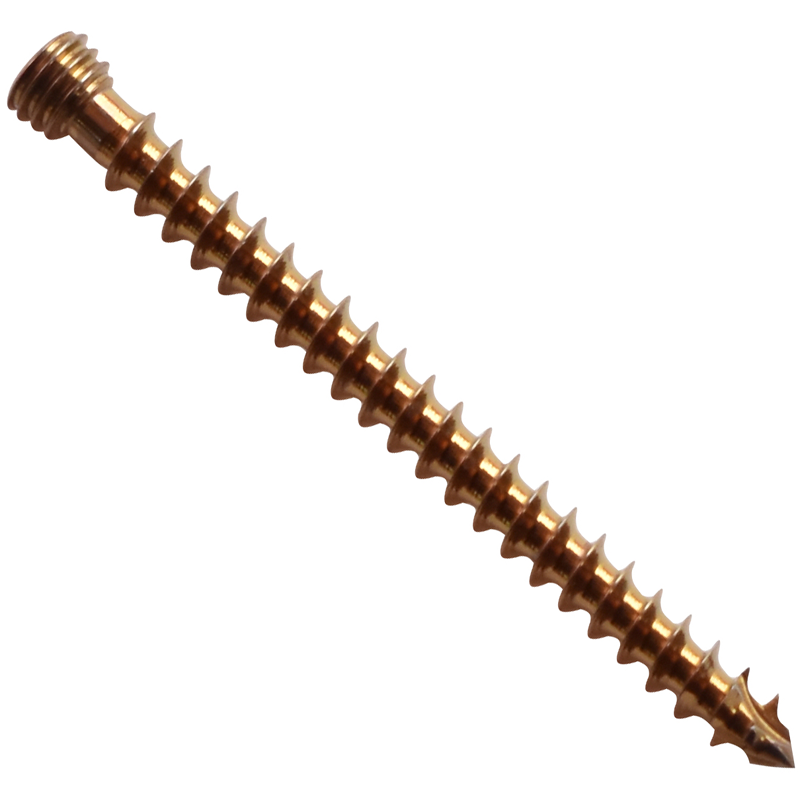 6.5mm cancellous locking screws