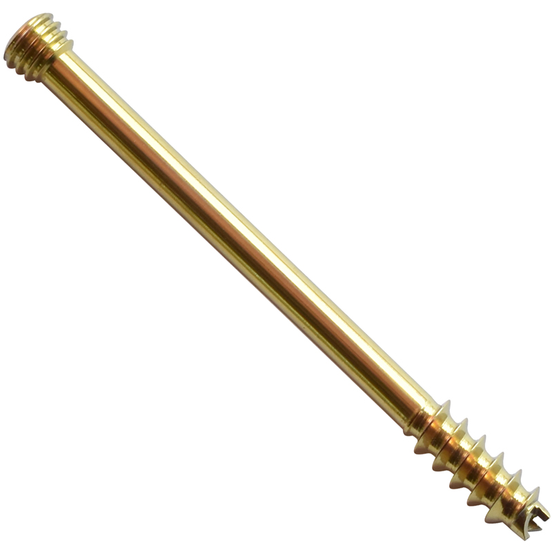 6.5mm cannulated locking screws